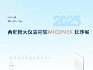 火爆收官！合肥精大儀表閃耀MICONEX長(zhǎng)沙展
